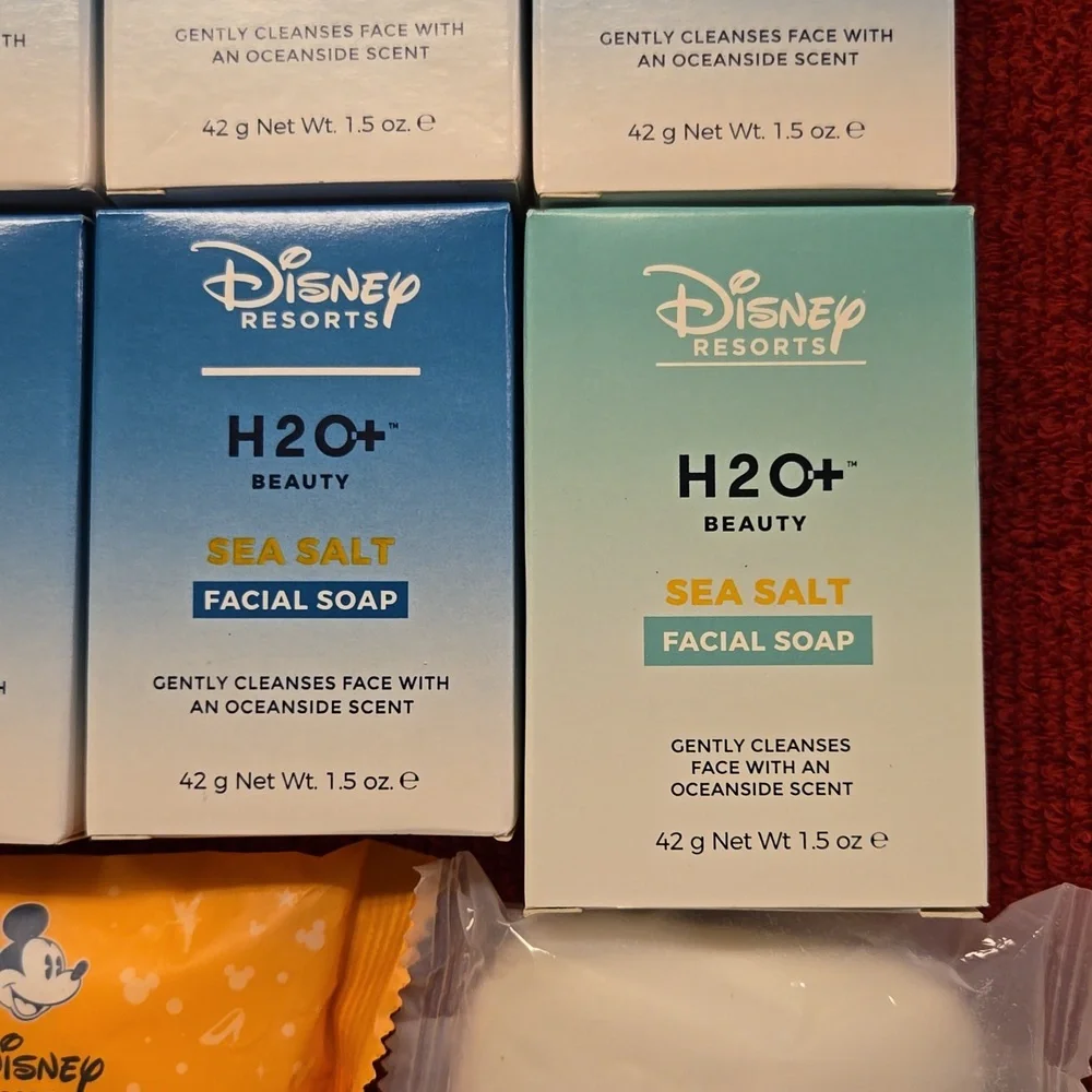 Disney Resorts H20+ facial soap bundle sea salt